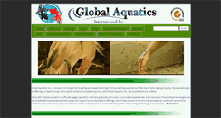 Desktop Screenshot of globalaquaticsinc.com